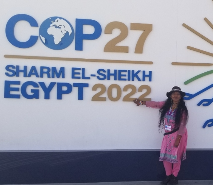 COP 27º, Sharm el-Sheij, Egipto. Conferencia sobre Cambio Climático